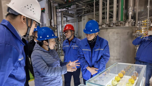 省粮食集团单晓敏董事长一行到张家港产业园调研